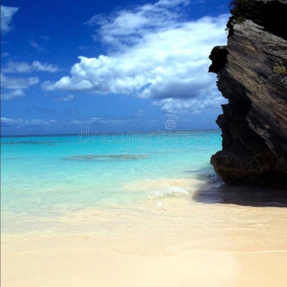 Meet your Posher, Donna - Picture 2 of 2